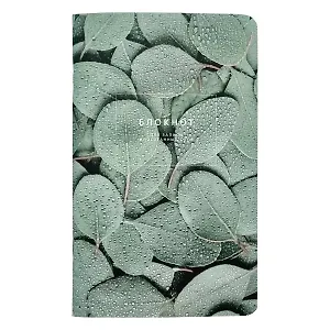 Тетрадь для записи иностранных слов Be Smart, "Botanica. Эвкалипт популус", А5, 48 листов