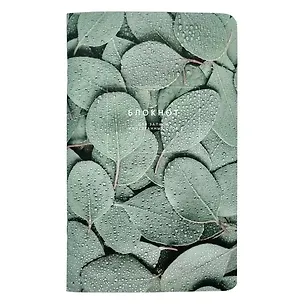 Тетрадь для записи иностранных слов «Botanica. Эвкалипт популус», 48 листов в мелкую линейку, А5 - Be Smart 3032599
