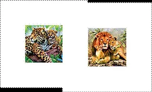 Салфетки для декупажа Леопард/Львиная семья (047) (2 шт) (33х33см) (упаковка)