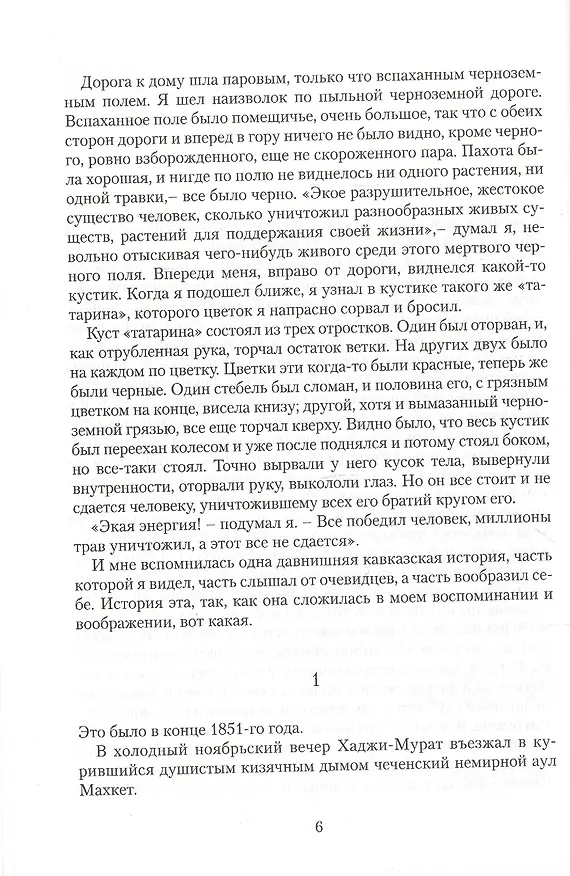 Книга Хаджи-Мурат. Повесть (Лев Толстой) — 2