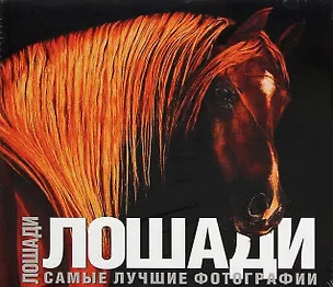 Книга Лошади. Самые лучшие фотографии: Альбом (Т. Карпенко)