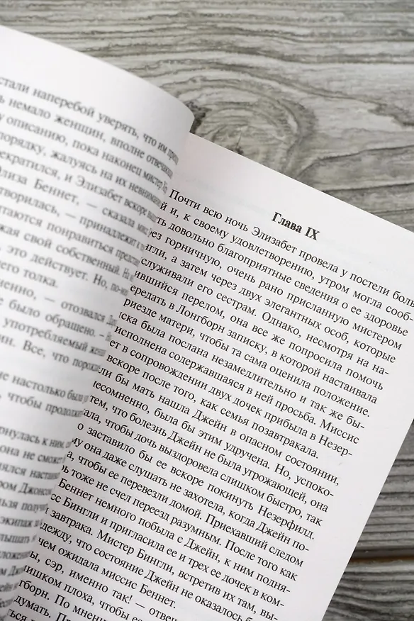 Книга Гордость и предубеждение (Джейн Остен) — 11