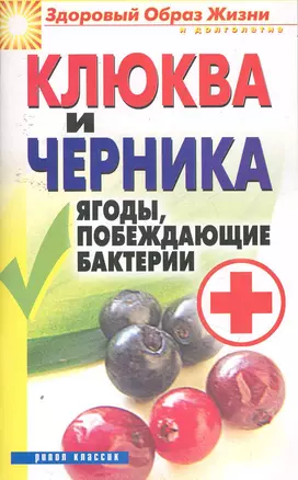 Клюква и черника. Ягоды , побеждающие бактерии — 2255372 — 1