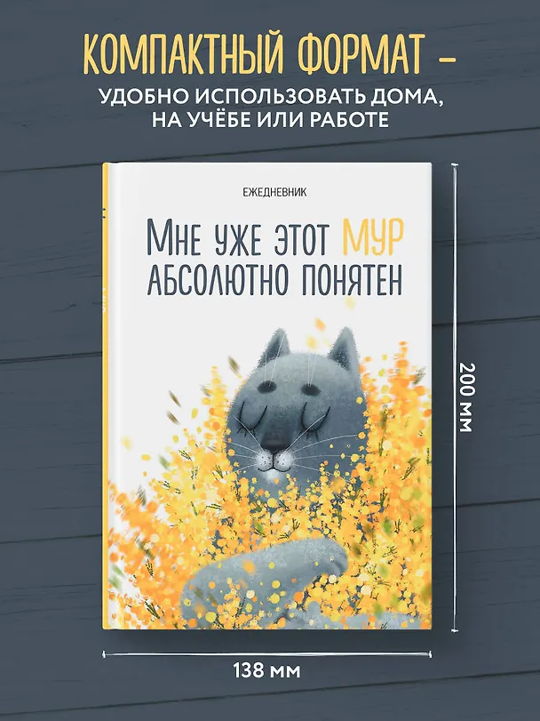Ежедневник недатированный «Мне уже этот МУР абсолютно понятен» А5, 72 листа, Эксмо 3059219 — 6