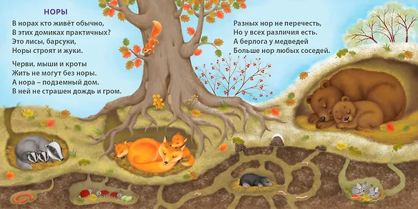 Книга Удивительные дома животных. Книжки-картонки (Евгений Сосновский) — 7