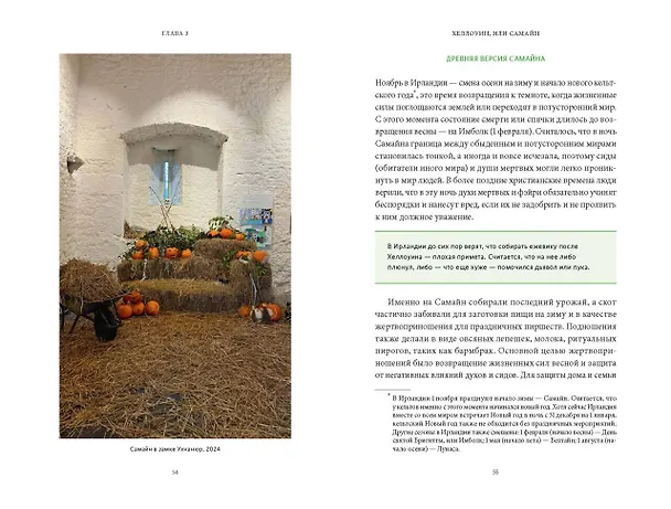Книга Ирландская культура смерти. «Веселые поминки», духи иного мира и похитители тел (Екатерина Московскова) — 16