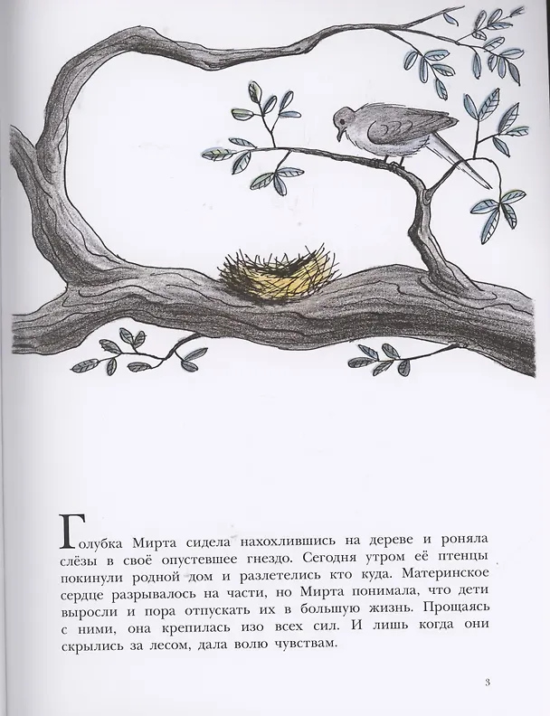 Книга Необычное яйцо (Билл Пит) — 2
