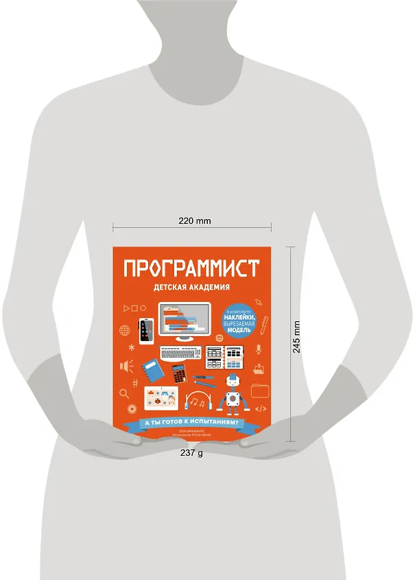 Книга Программист. Детская академия (Шон Макманус) — 5