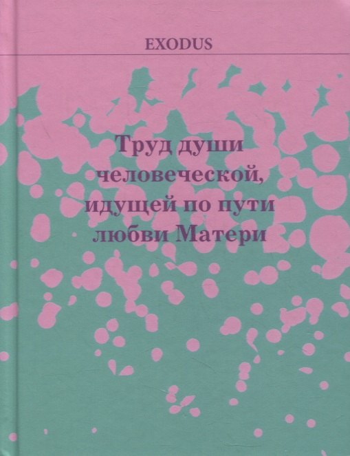 

Труд души человеческой идущей по пути Любви МАТЕРИ