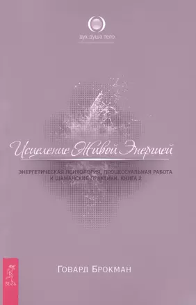 Исцеление Живой Энергией.Энергетическая психология, процессуальная работа и шаманские практики.  Книга  2 — 2417542 — 1