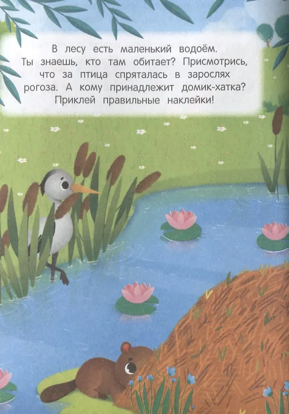 Книга В лесу. Найди меня () — 2