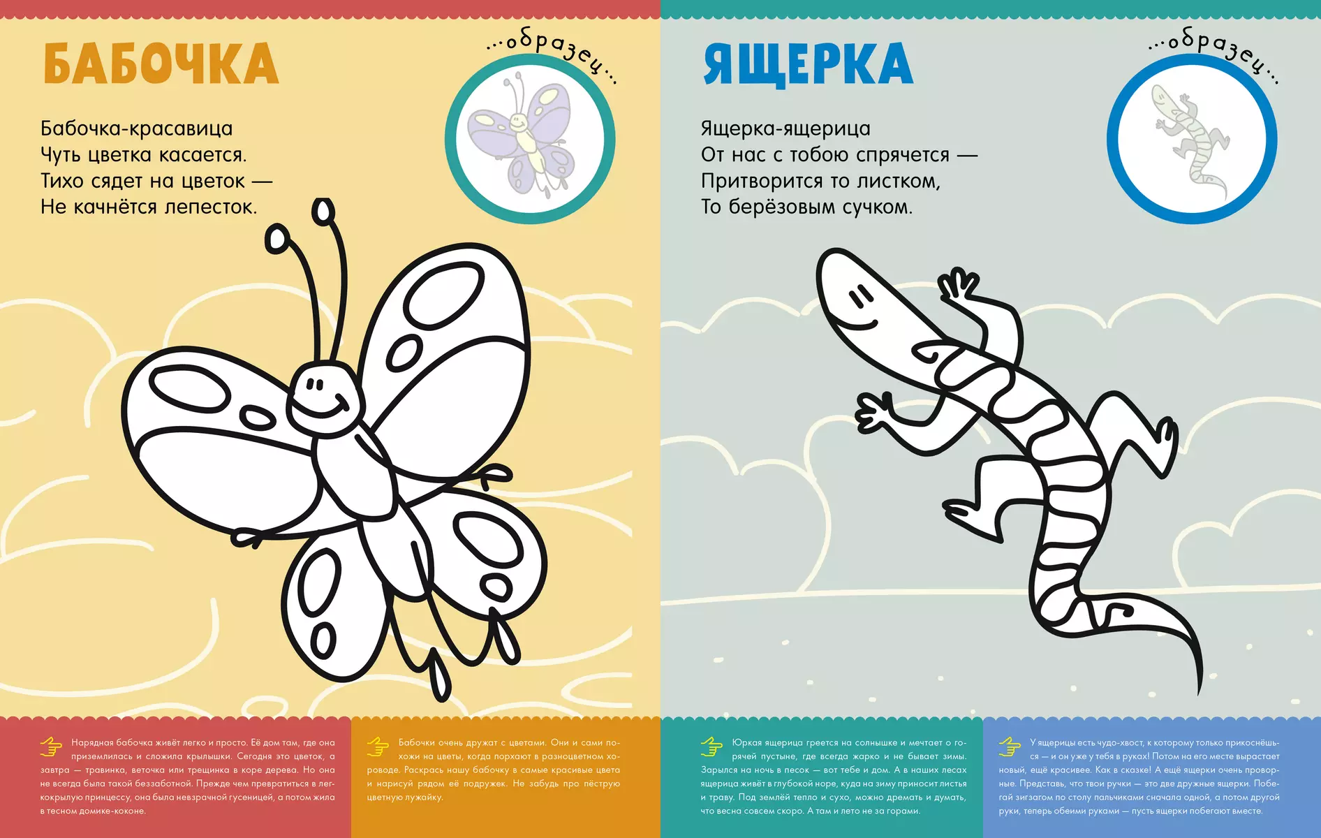 Первая раскраска с наклейками. Кто живет в лесу? (Александра Бодрова) -  купить книгу с доставкой в интернет-магазине «Читай-город». ISBN:  978-5-00115-778-6