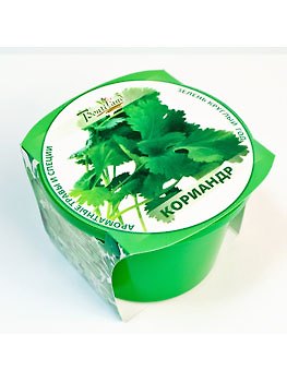 Набор для выращивания "Зелень круглый год" Кориандр (411821) 2371574 — 1