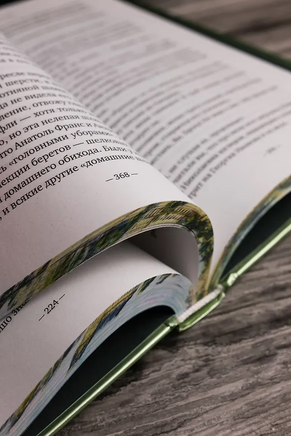 Книга На берегах Сены (Ирина Одоевцева) — 15