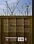 Все об обрезке сада. Практическое руководство по формированию всех плодовых и декоративных растений — 2703796 — 2
