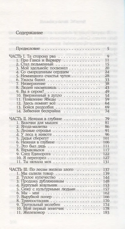 Книга Рама.Забвения (Илья Боровиков) — 2