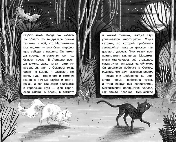 Книга Портрет призрака (Сара Тейлор) — 8