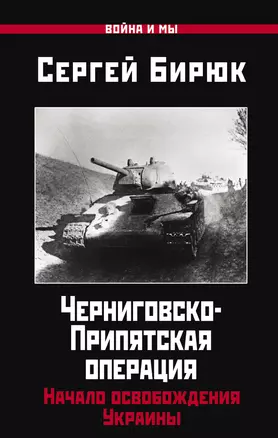 Черниговско-Припятская операция: Начало освобождения Украины — 2943565 — 1