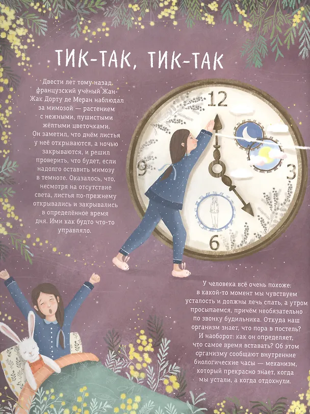 Книга Наступает ночь... Что происходит, пока ты спишь (Моника Утник-Стругала) — 5
