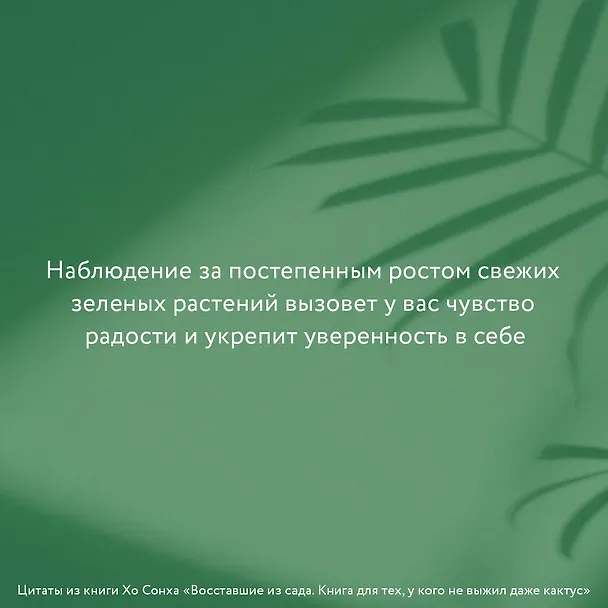 Книга Восставшие из сада. Книга для тех, у кого не выжил даже кактус (Сонха Хо) — 7