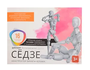 Конструктор Бинар: "Сёдзе" 11082