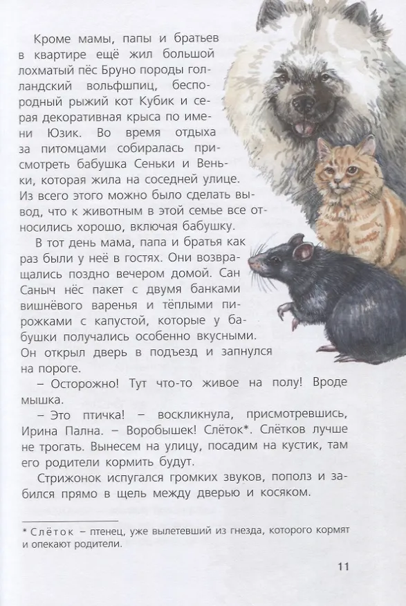 Книга Я считаю ворон. Две истории из жизни птиц и людей (Людмила Одинцова) — 3