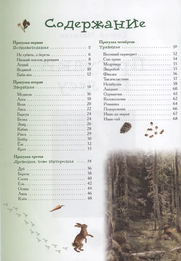 Книга Прогулки по лесу (Сергей Махотин) — 2