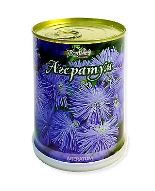 Цветок в банке "Агератум" (77022) 2371559 — 1