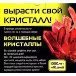 Набор д/детского творчества Кими "Вырасти свой кристал!" в асс. 006 — 309649 — 1