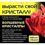 Набор д/детского творчества Кими "Вырасти свой кристал!" в асс. 006 309649 — 1