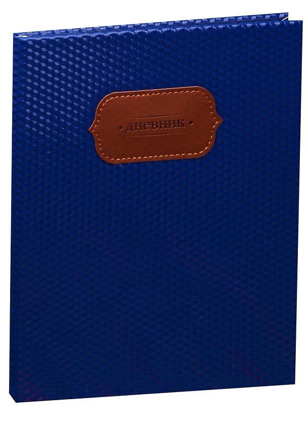 Дневник школьный GoodMark, Blue Shine 242111 — 1