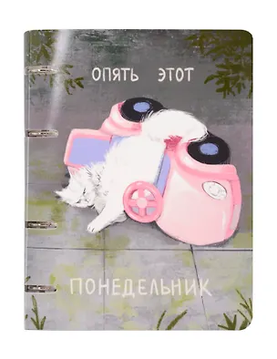 Тетрадь 100л кл. "Понедельник" на кольцах, пласт.обл., полноцв.печать 3084249