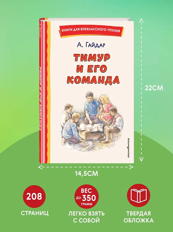 Книга Тимур и его команда (ил. О. Зубарева) (Аркадий Гайдар) — 9