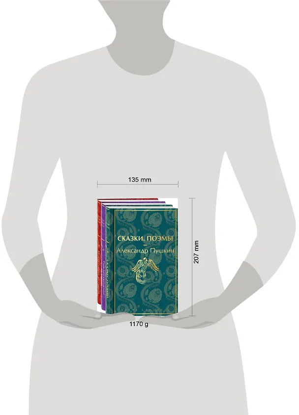 Книга Путешествие в Новый год (набор из 3-х книг: "Сказки. Поэмы", "Новогодние истории. Рассказы русских писателей", "Рождественские истории. Рассказы зарубежных писателей") () — 6