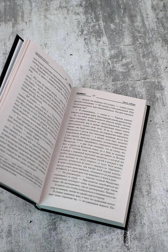 Книга Закон хабара (Дмитрий Силлов) — 10