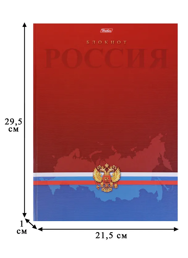 Книга для записей А4 80 листов клетка "Россия" 246036 — 3