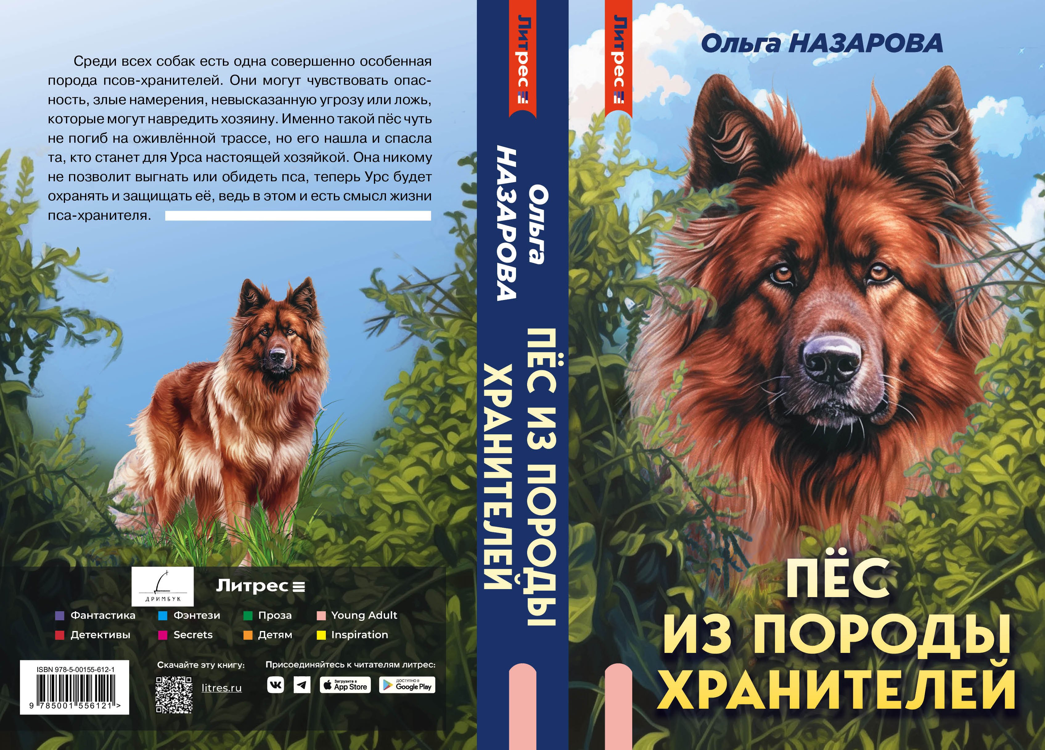 Изображение бумажной книги