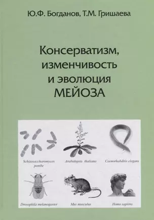 Консерватизм, изменчивость и эволюция мейоза — 2796843 — 1