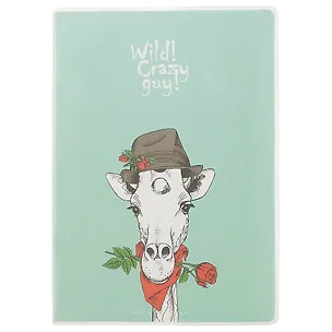 Тетрадь в линейку AnAn, Crazy guy, А5, 60 листов, в ассортименте 239761