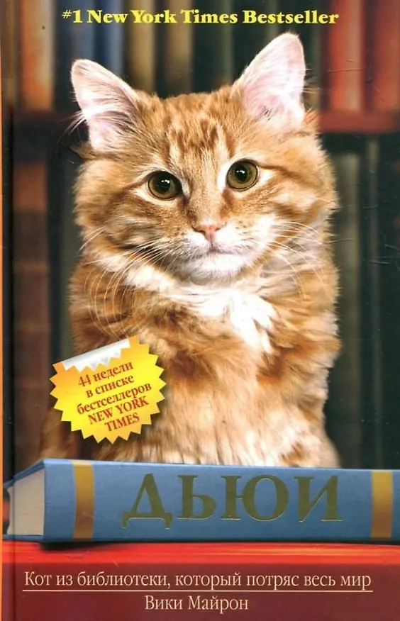 Книга Дьюи. Кот из библиотеки, который потряс весь мир (Вики Майрон) — 1