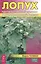 Лопух против воспалений суставов и почечнокаменной болезни — 2597850 — 1