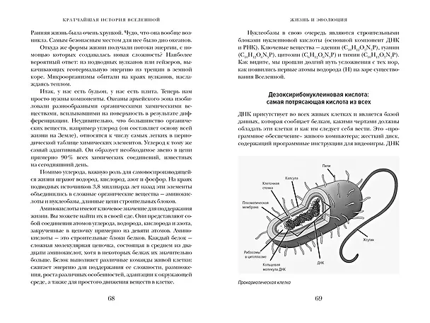 Книга Кратчайшая история Вселенной: От Большого взрыва до наших дней (в сверхдоступном изложении) (Дэвид Бейкер) — 16