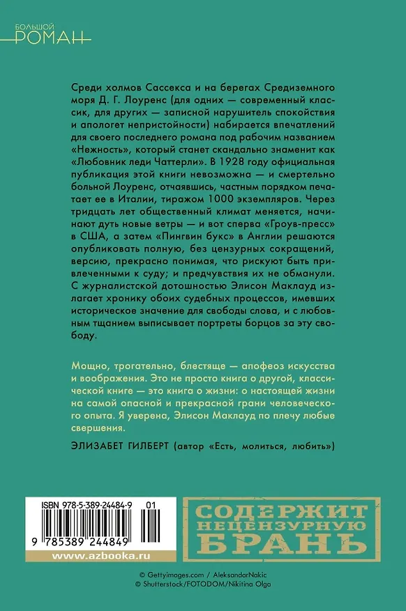 Книга Нежность (Элисон МакЛауд) — 14