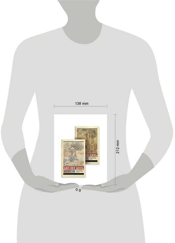 Книга Сон в красном тереме (Цао Сюэ-цинь) — 10
