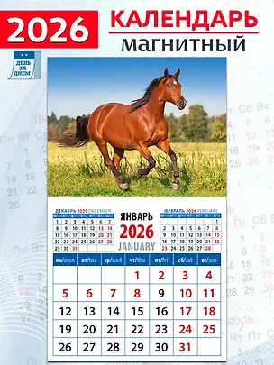 Календарь 2026г 94*167 «Год лошади. Летний день» на магните 3108787