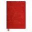 Ежедневник недатированный "Тиволи" Финансовое планирование, А5, 160 листов, красный — 2943835 — 1