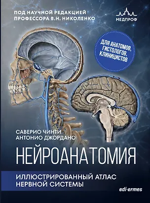 Книга Нейроанатомия. Иллюстрированный атлас нервной системы (Саверио Чинти, Антонио Джордано)