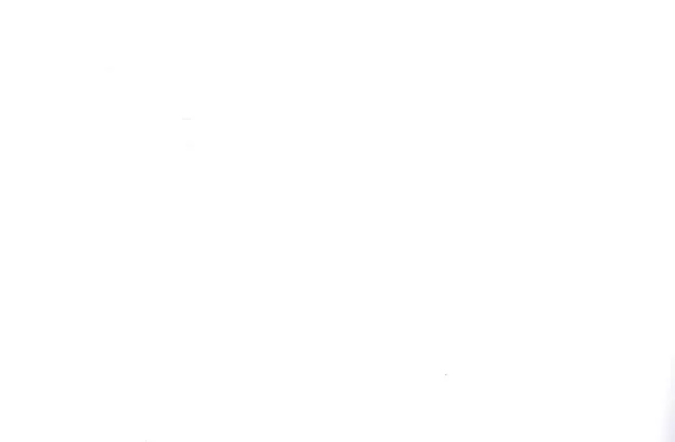 Альбом для рисования «Кототерапия» Hatber А4, 24 листа, скрепка, в ассортименте 2980121 — 2
