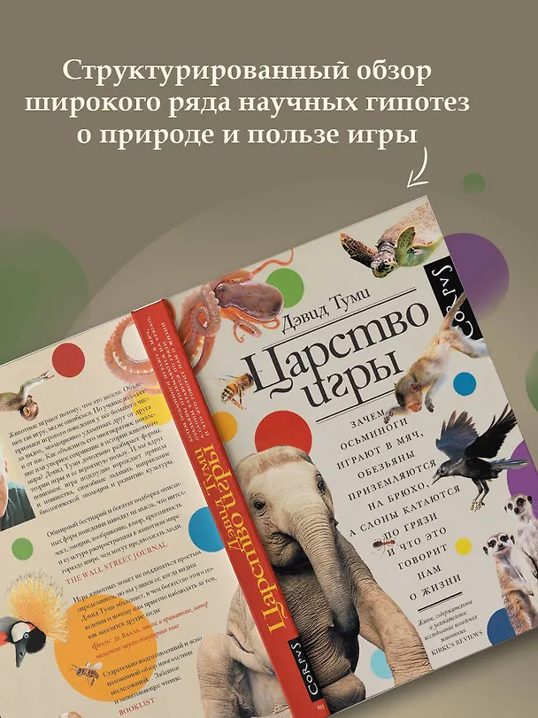 Книга Царство игры (Дэвид Туми) — 6