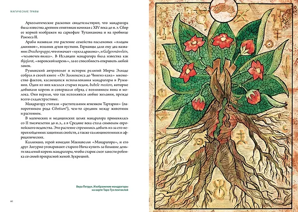 Книга Магия трав и волшебный бестиарий. Сборный комплект из 2-х книг с шоппером (Ипполита Дуглас Скотти ди Виголено, Сабрина Тонутти, Роберто Маркезини) — 24